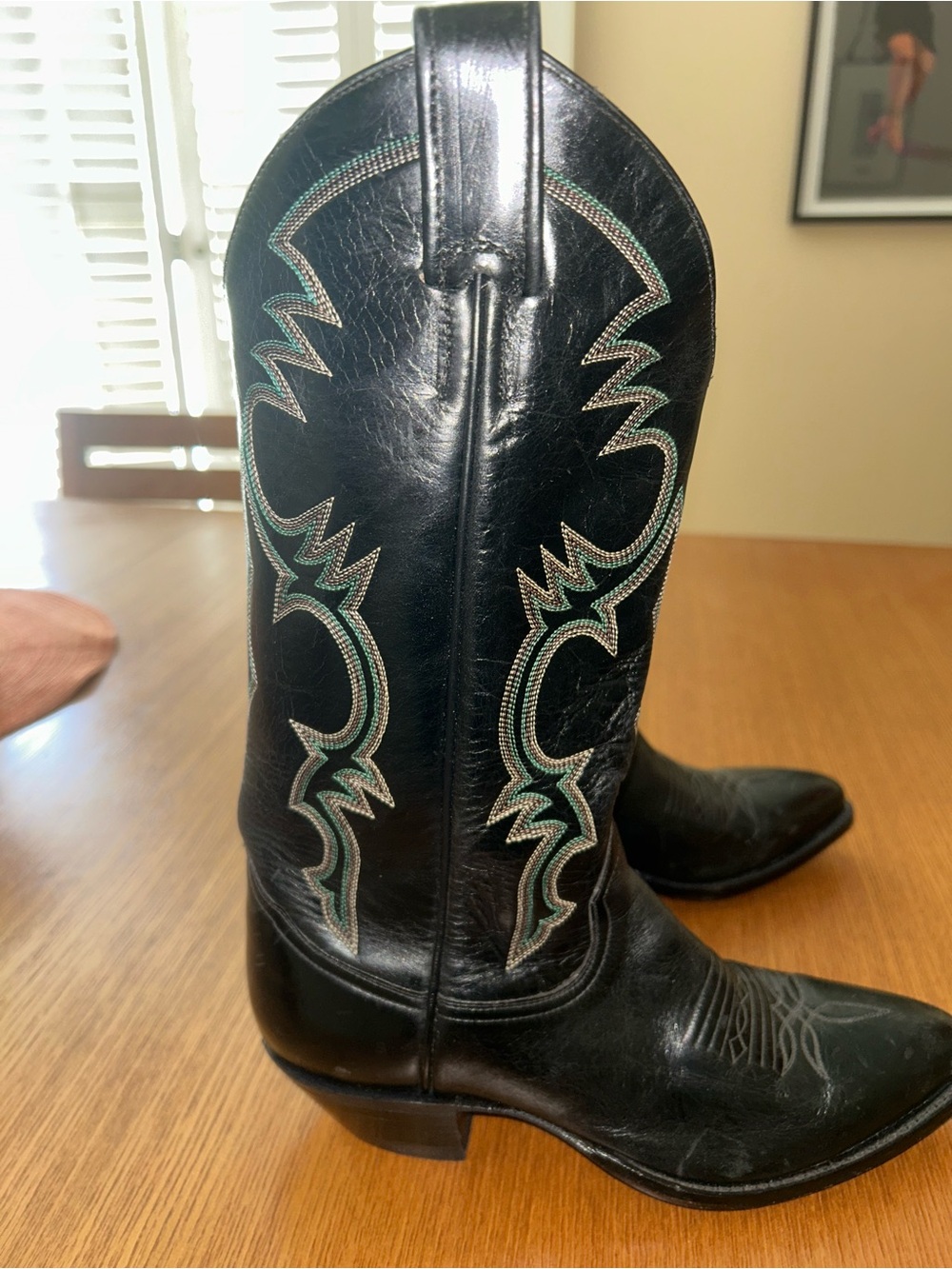 Women's Black Pointed Toe Western Boots